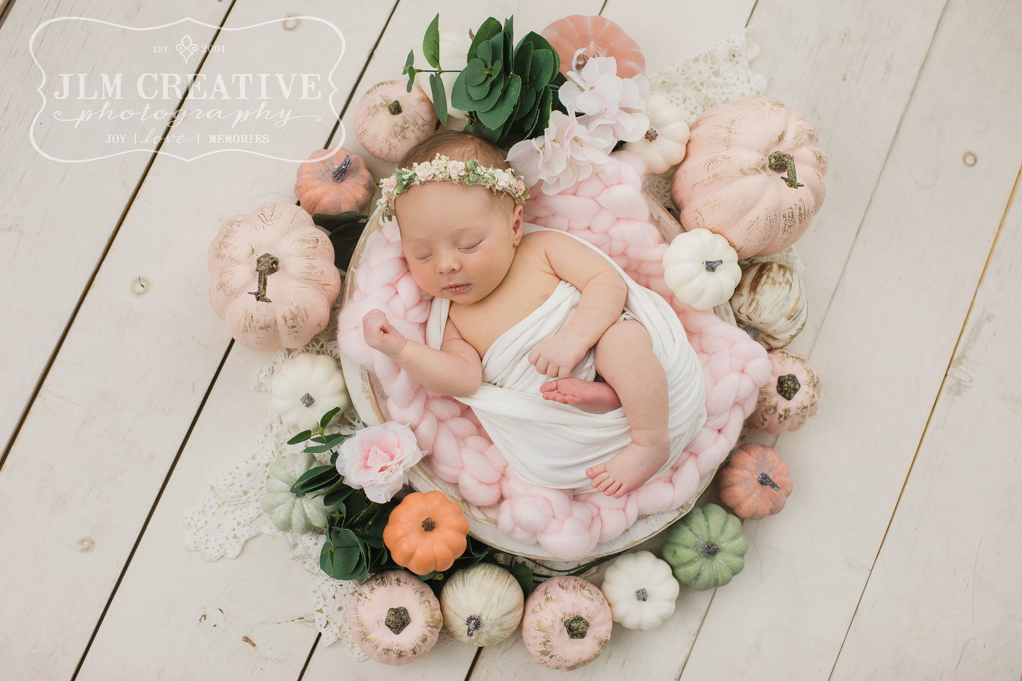 newborn baby girl posed in a bowl with pumpkins and flowers in pin